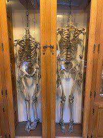 Indiana Medical History Museum photo 6