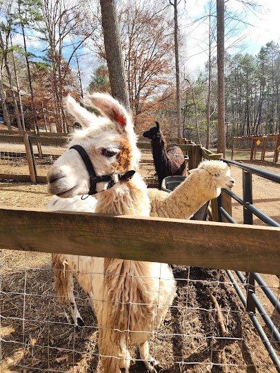 Hooves and Feathers Petting Farm, LLC
