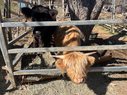 Hooves and Feathers Petting Farm, LLC photo 5