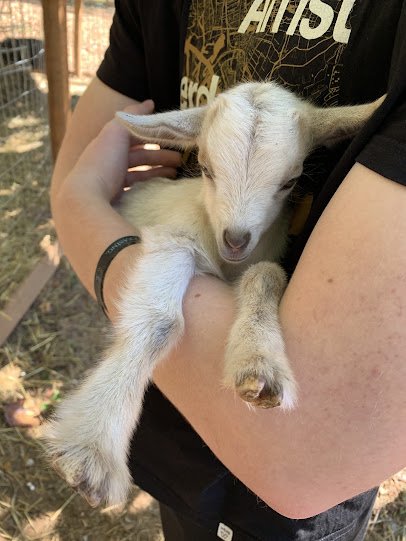 Hooves and Feathers Petting Farm, LLC photo 6