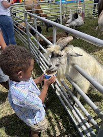 Julio's Zoo 2 U photo 4