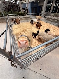 Julio's Zoo 2 U photo 5