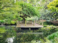 San Francisco Botanical Garden photo 3
