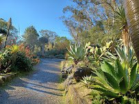 San Francisco Botanical Garden photo 4