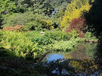 San Francisco Botanical Garden photo 5