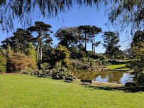 San Francisco Botanical Garden photo 6