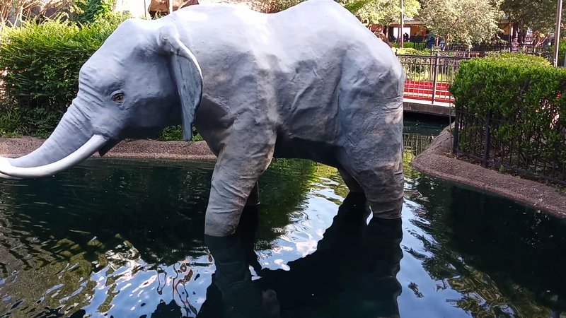 Adventure Landing Dallas photo 2