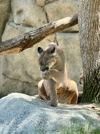 California Living Museum (CALM)