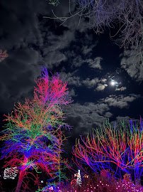 California Living Museum (CALM) photo 3