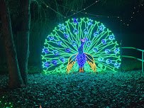 California Living Museum (CALM) photo 4