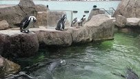 National Aviary photo 2