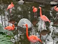 National Aviary photo 3