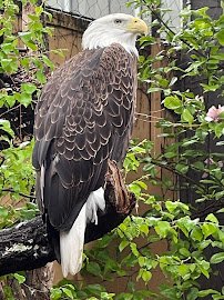 National Aviary photo 6