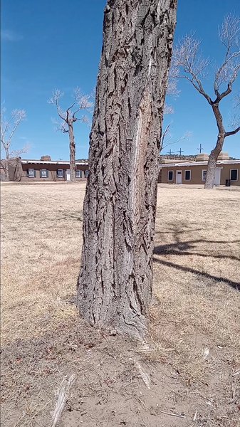 Fort Garland Museum & Cultural Center photo 2