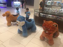 Animal Rides Happy Rides photo 3