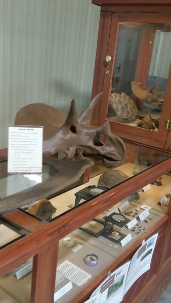 Missouri Institute of Natural Science photo 2