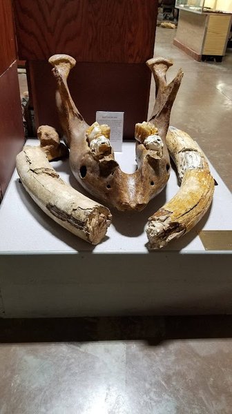Missouri Institute of Natural Science photo 3