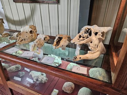 Missouri Institute of Natural Science photo 4