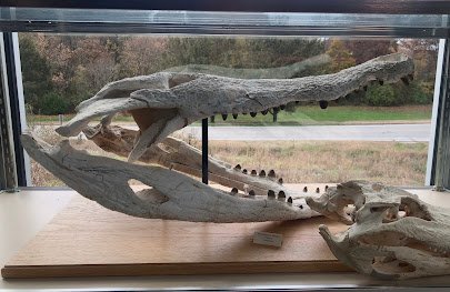 Missouri Institute of Natural Science photo 6