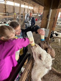 Barnyard Petting Zoo photo 2
