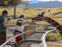 The Living Desert Zoo and Gardens