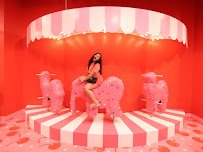 MUSEUM OF ICE CREAM photo 4