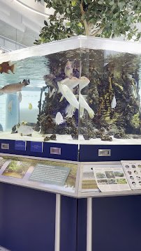 Tampa Bay Watch Discovery Center photo 2