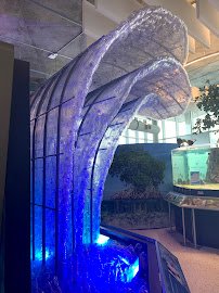 Tampa Bay Watch Discovery Center photo 3