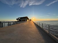Tampa Bay Watch Discovery Center photo 5