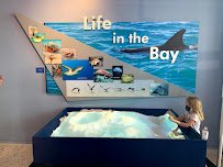 Tampa Bay Watch Discovery Center photo 6