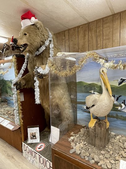 Carolyn Parr Nature Center photo 3