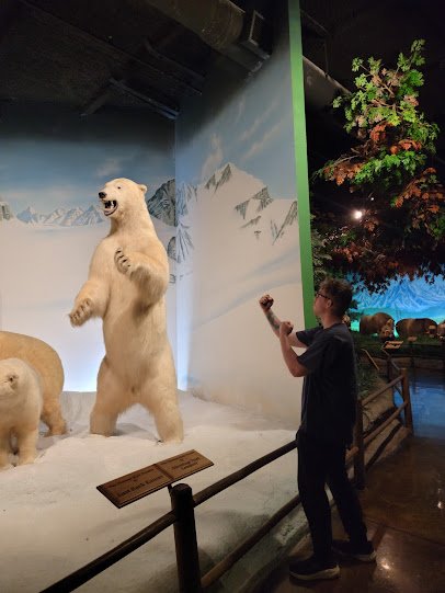 The Museum at Rolling Hills Zoo photo 3
