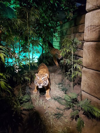 The Museum at Rolling Hills Zoo photo 4
