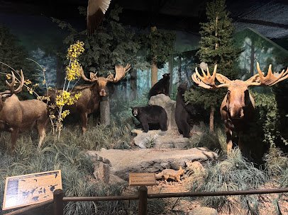 The Museum at Rolling Hills Zoo photo 5