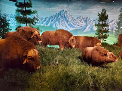 The Museum at Rolling Hills Zoo photo 6