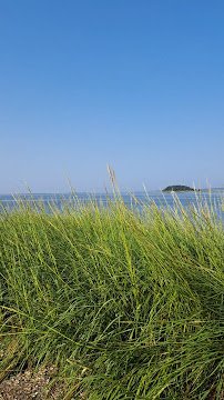 Audubon Society of Rhode Island Nature Center and Aquarium photo 2