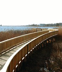 Audubon Society of Rhode Island Nature Center and Aquarium photo 5
