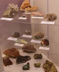 Centennial Museum and Chihuahuan Desert Gardens photo 6