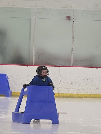 The Ice Zone photo 5