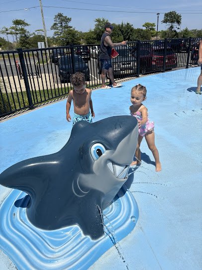 Spray Park at Veteran's Memorial Park photo 4