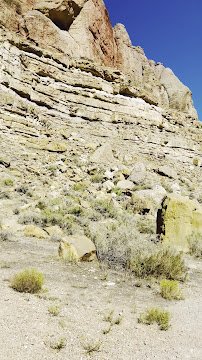 Dinosaur Tracks photo 2
