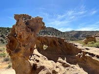 Dinosaur Tracks photo 3