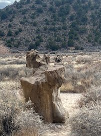 Dinosaur Tracks photo 4