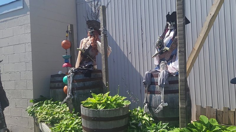 Mr. Tees 36 Hole Mini Golf photo 2