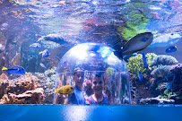 Butterfly House & Aquarium photo 3