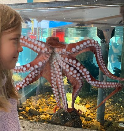 Hatfield Marine Science Visitor Center photo 5