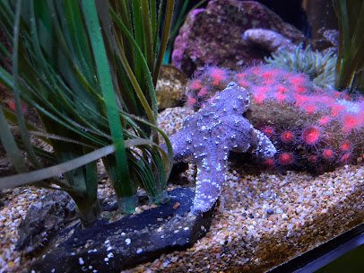 Hatfield Marine Science Visitor Center photo 6