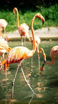 Cypress Landing photo 2