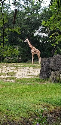 Cypress Landing photo 5