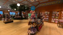 CAMP, A Family Experience Store photo 3